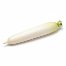 Load image into Gallery viewer, Radis Blanc 이미지를 갤러리 뷰어에 로드 , Radis Blanc