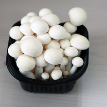 Load image into Gallery viewer, 만가닥 버섯 Champignons shimeji 150g 이미지를 갤러리 뷰어에 로드 , 만가닥 버섯 Champignons shimeji 150g