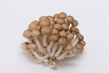 Load image into Gallery viewer, 만가닥 버섯 Champignons shimeji 150g 이미지를 갤러리 뷰어에 로드 , 만가닥 버섯 Champignons shimeji 150g