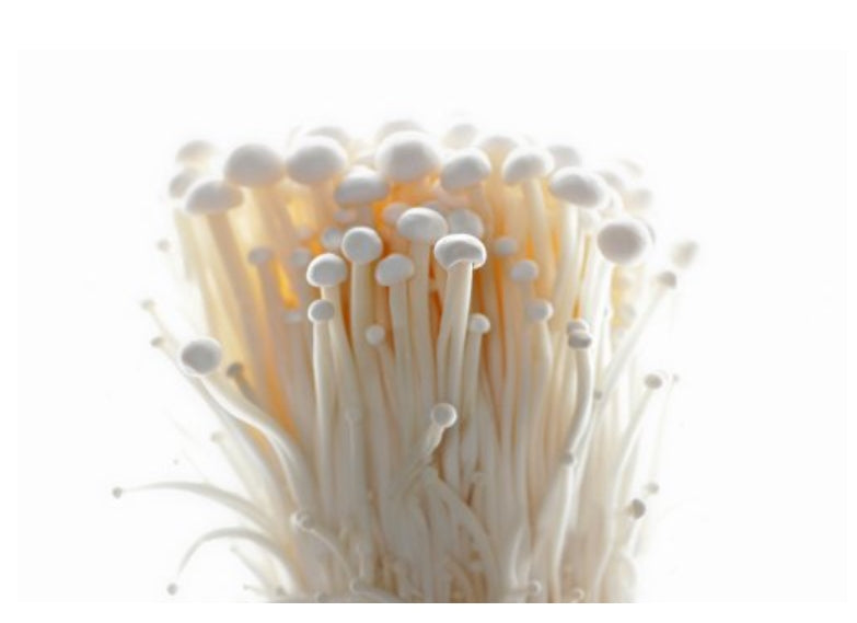 팽이 버섯 Champignons Enoki 100g