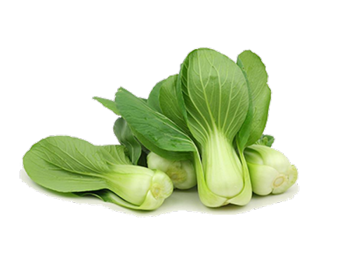 청경채 Choux Pak Choi 600g
