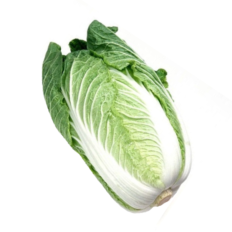 배추 Chou Chinois 1포기